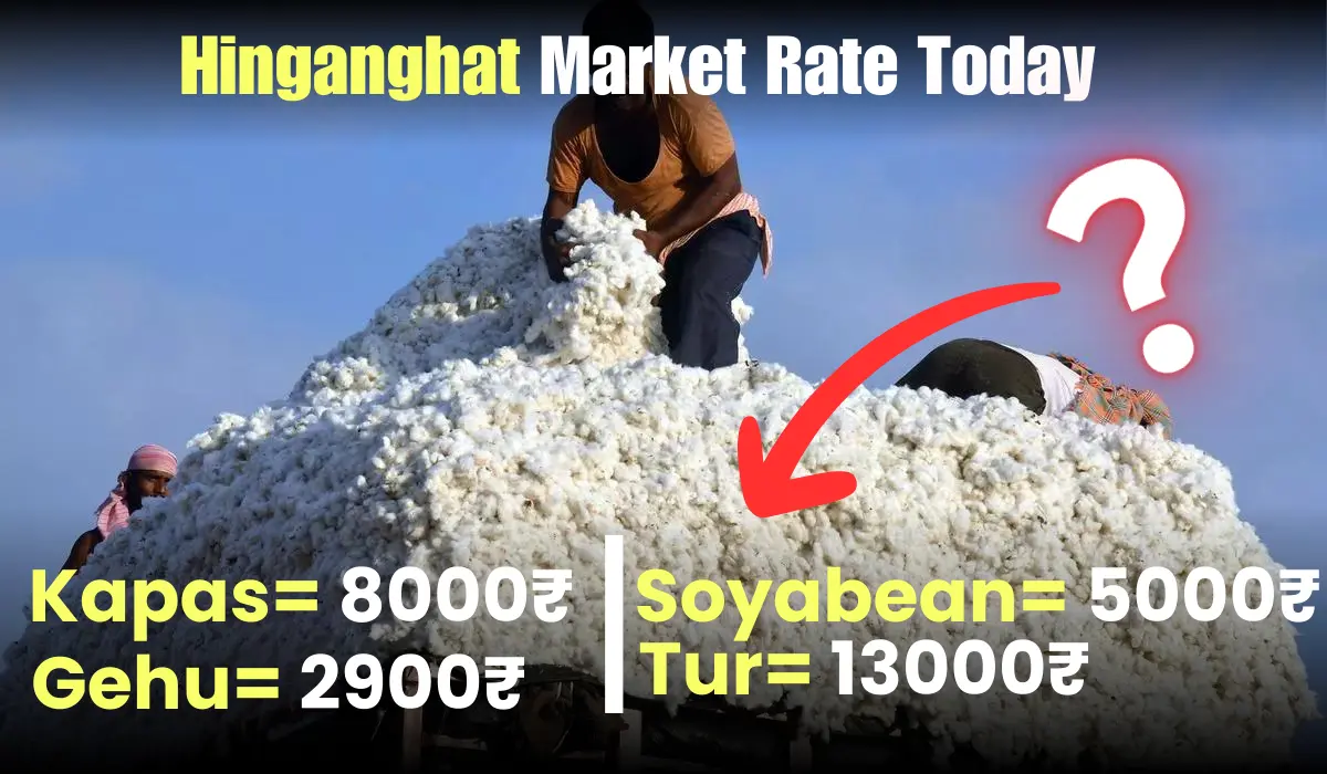 Higanghat Market rate Today