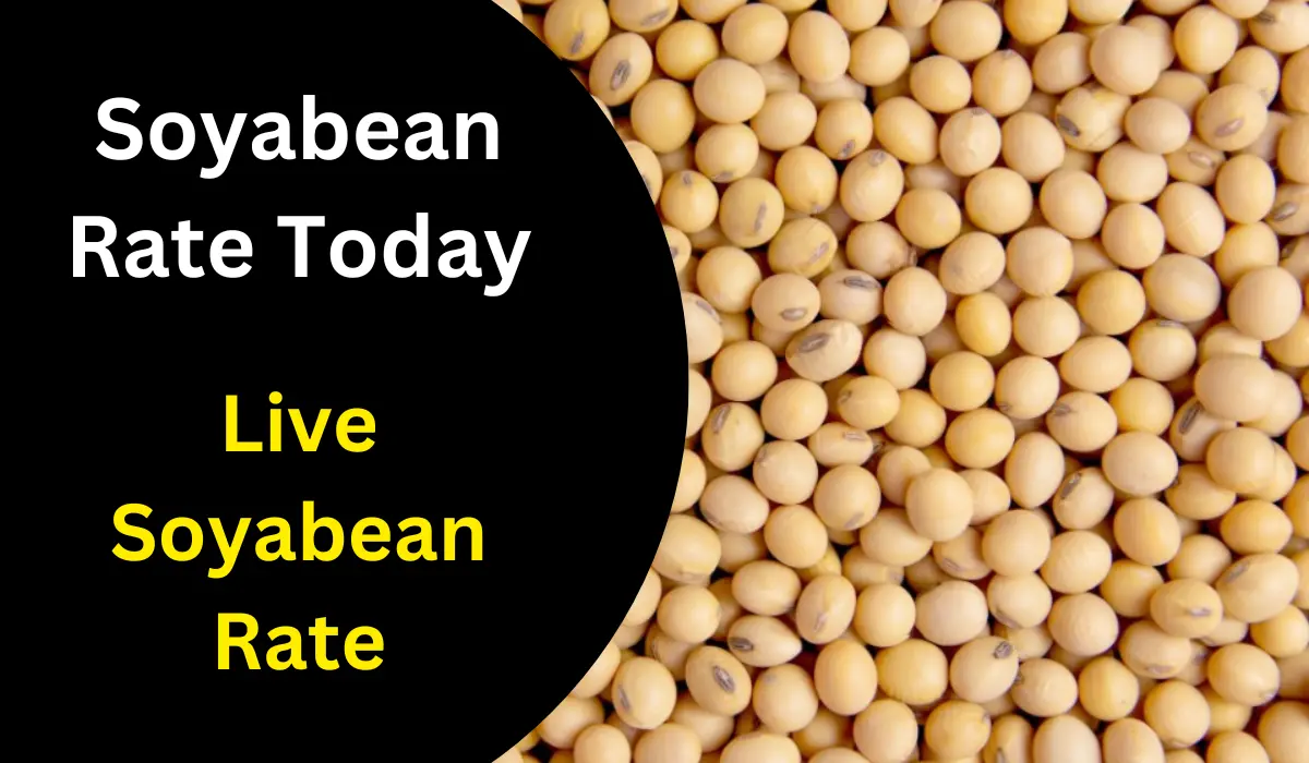 Soyabean rate
